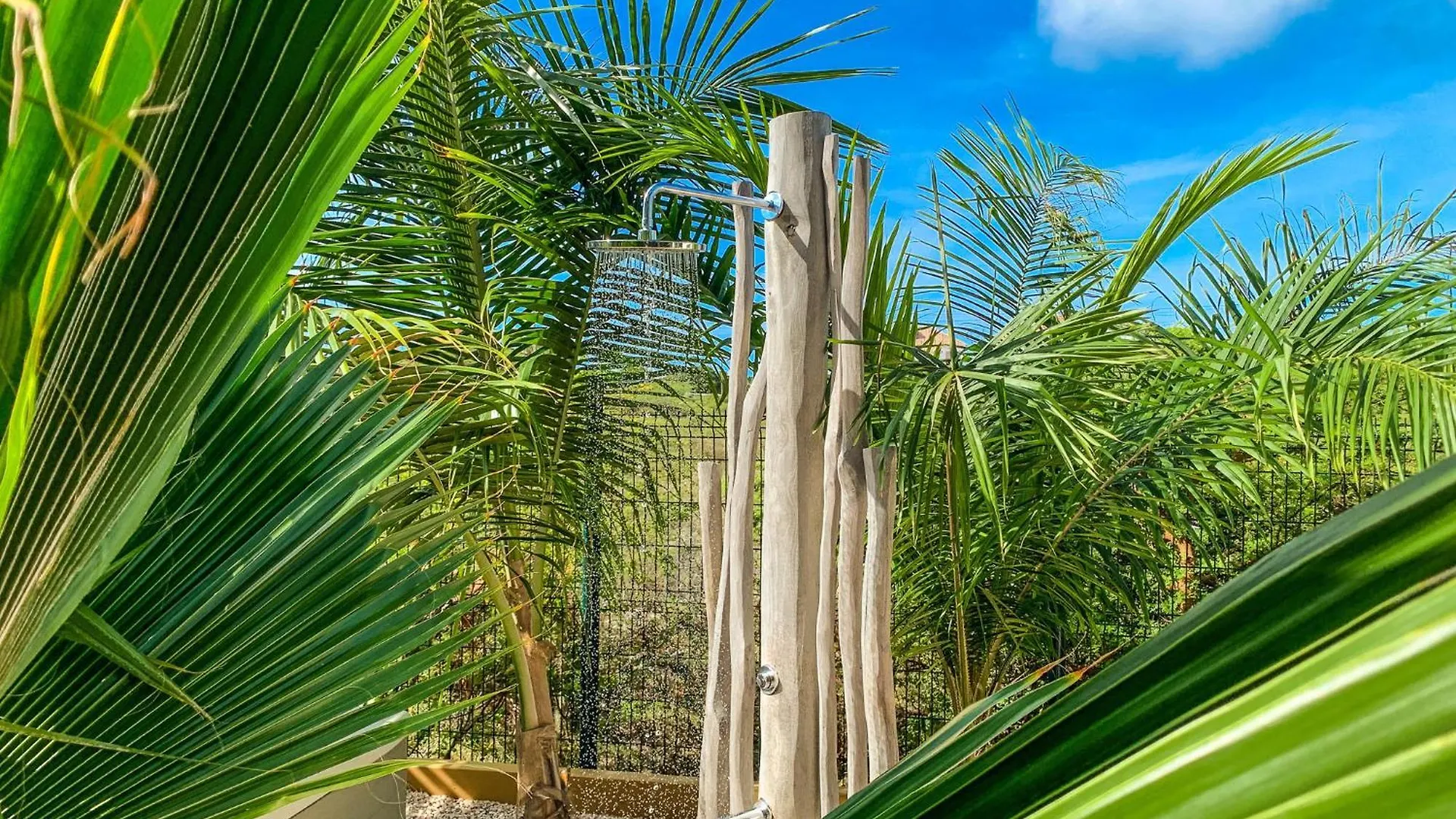 Isla Penthouse & Garden Apartments Bonaire クラレンダイク 0*,
