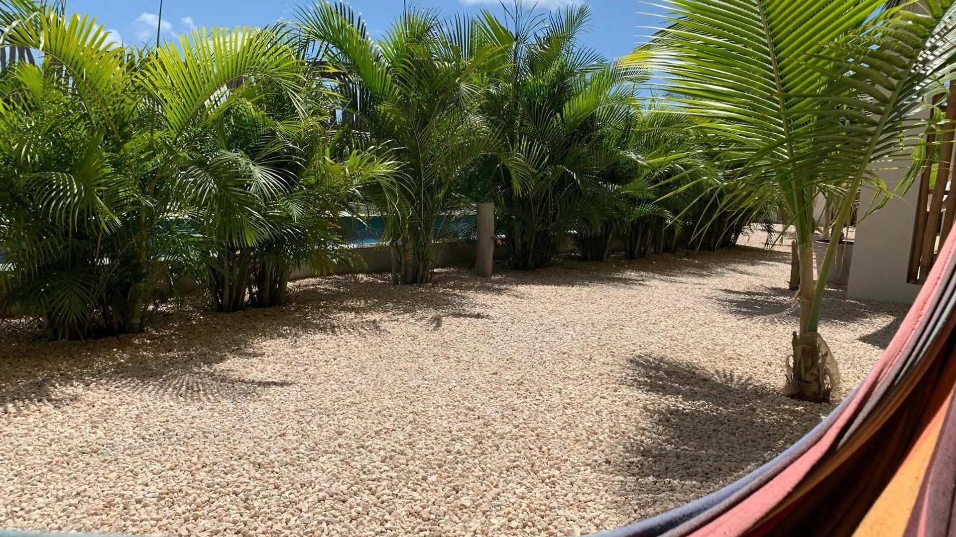 Isla Penthouse & Garden Apartments Bonaire クラレンダイク ボネール、シント・ユースタティウスおよびサバ
